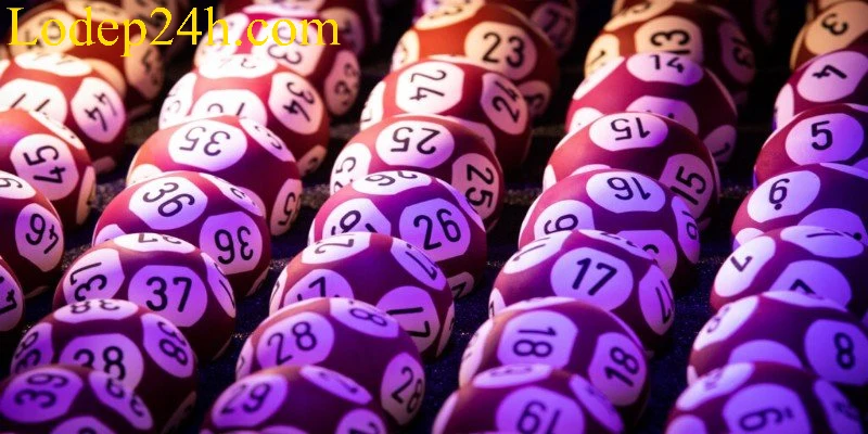 Lô 3 Càng Là Gì Với Mẹo Bắt Số Trúng Lớn Từ Chuyên Gia